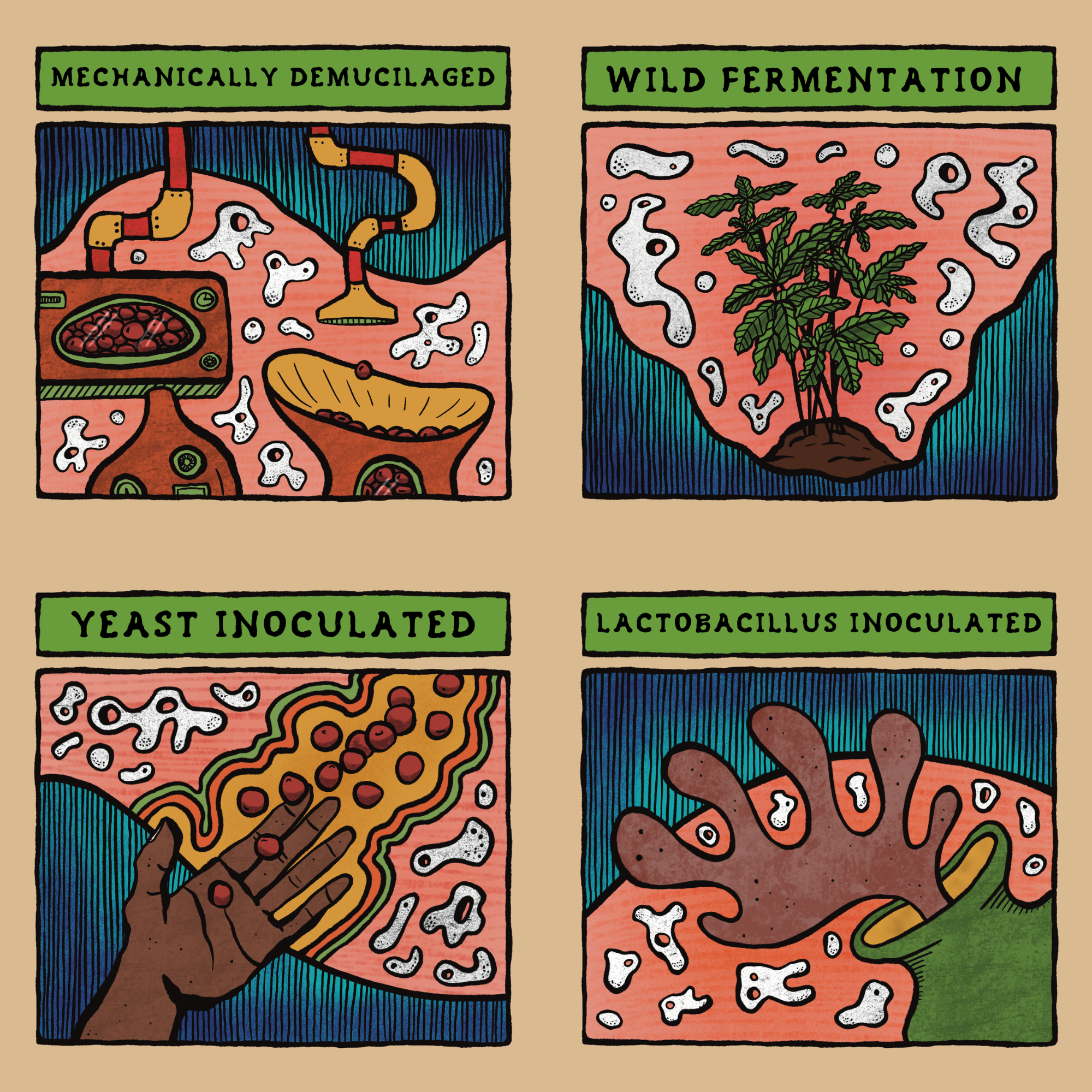 Fermentation Project Set Pre-Sale